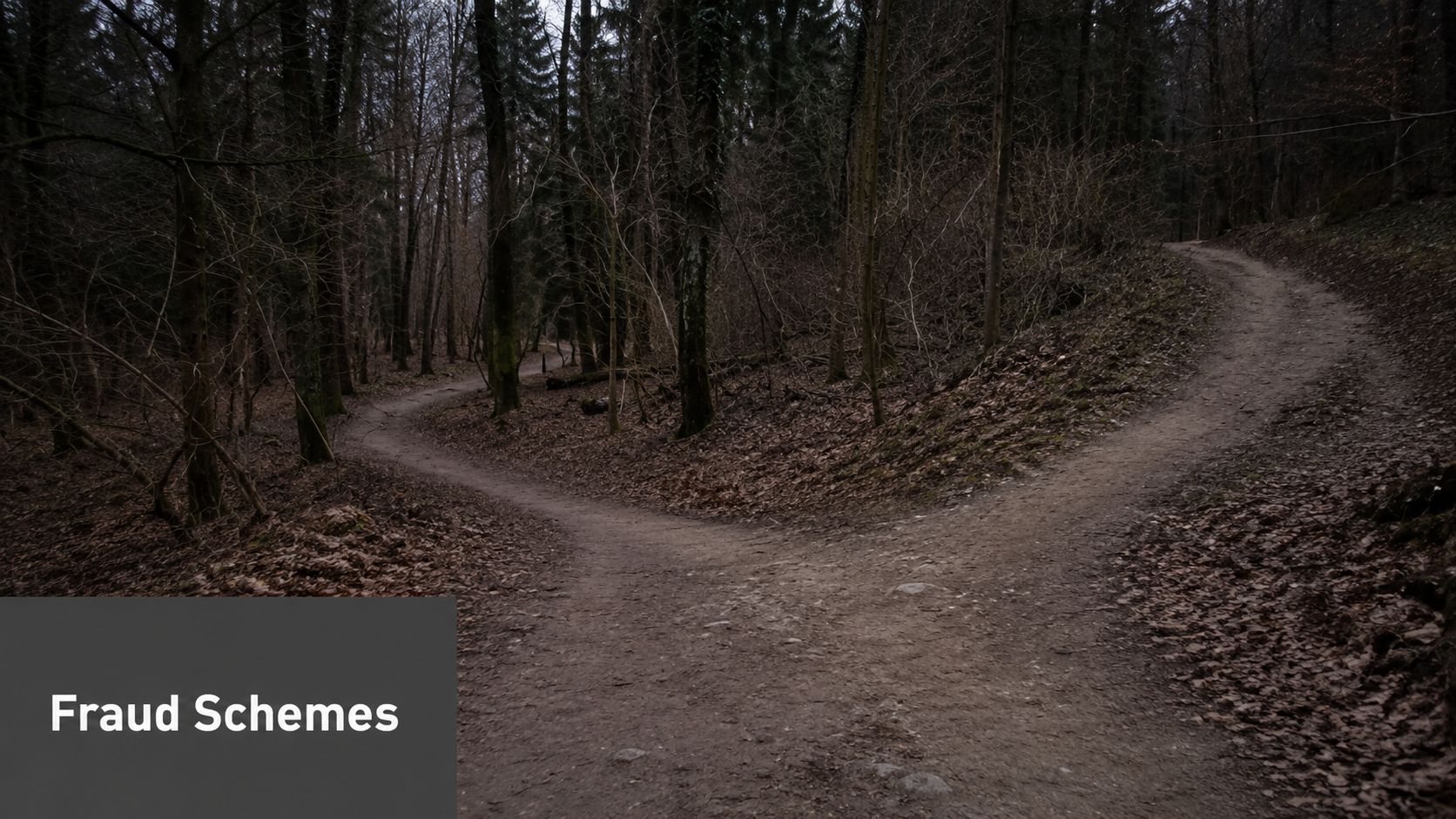 A forked dirt path in a dark, moody forest, representing choices in fraud schemes.