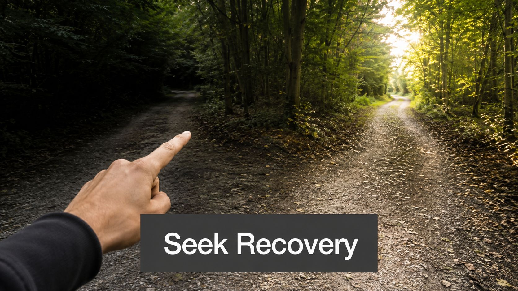 A first-person view of a hand pointing toward a dark path in a forest with the text Seek Recovery.