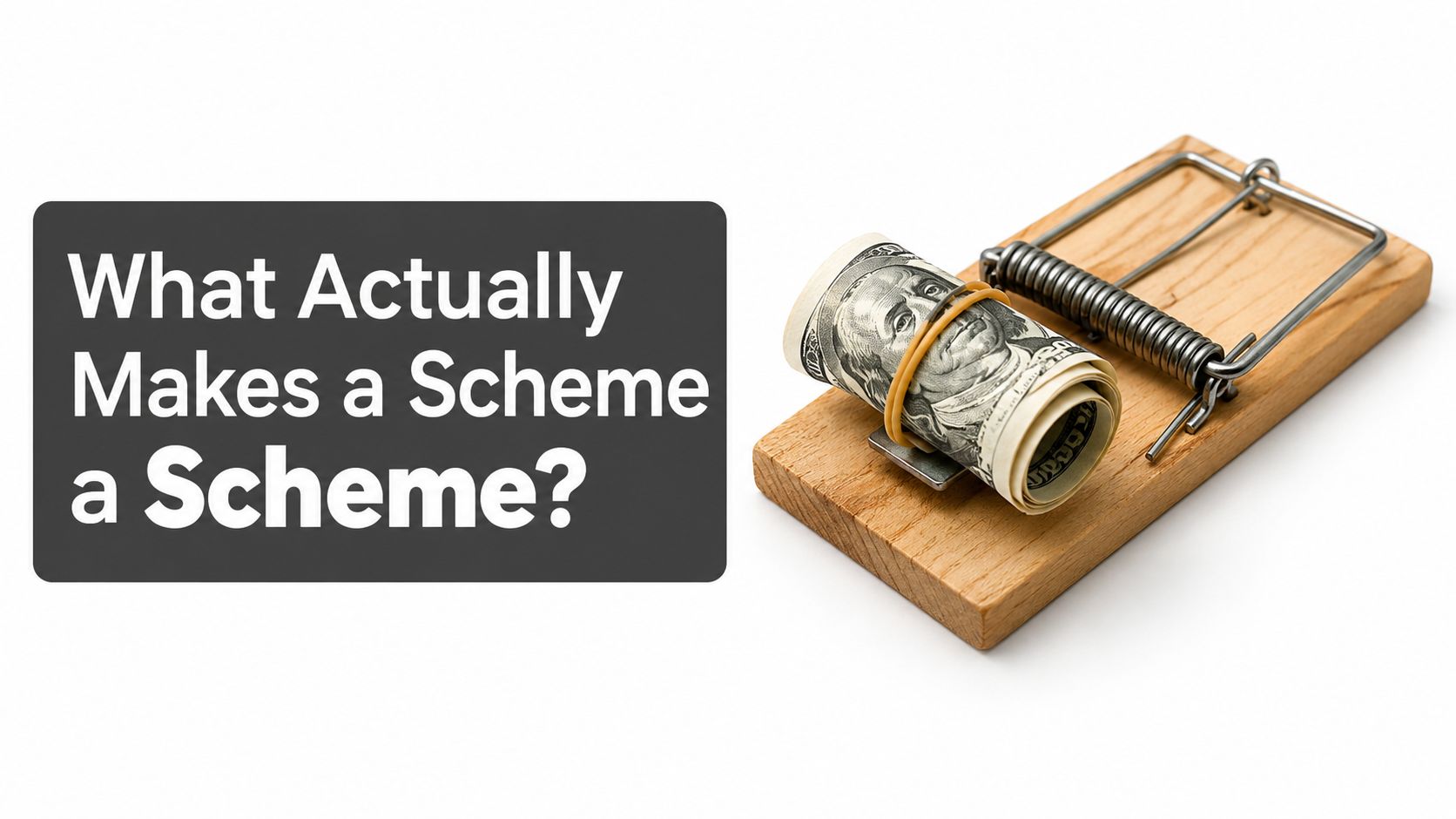 A roll of US dollar bills sitting as bait on a wooden mouse trap, illustrating financial fraud.