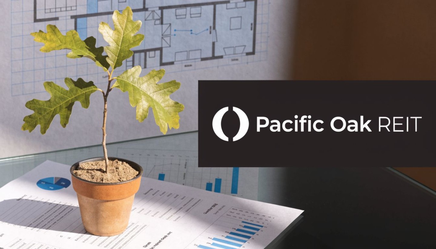 pacific-oak-strategic-opportunity-reit-oak-sapling